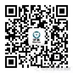 hth·华体会（中国）官方网站-hth.com
